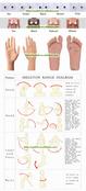 UUdoll 165cm tan color life sized shemale real sex love doll for man sex doll for men from Automatic Woman